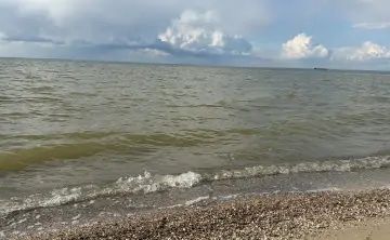 Азовское море вступило в затяжную фазу осолонения. Фото donnews.ru