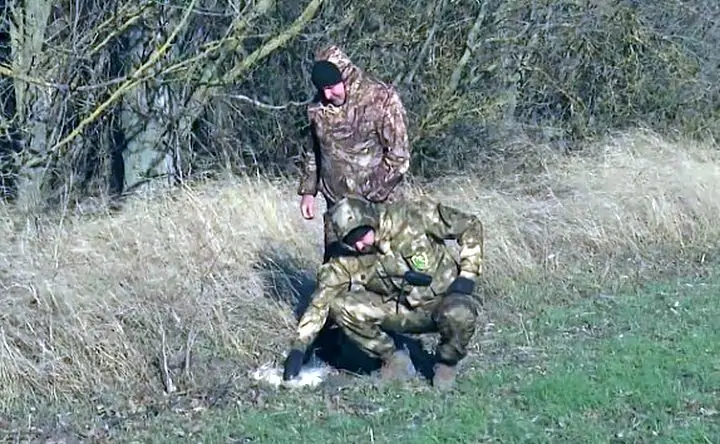 Скриншот с видео с места ЧП «Дон ТР»