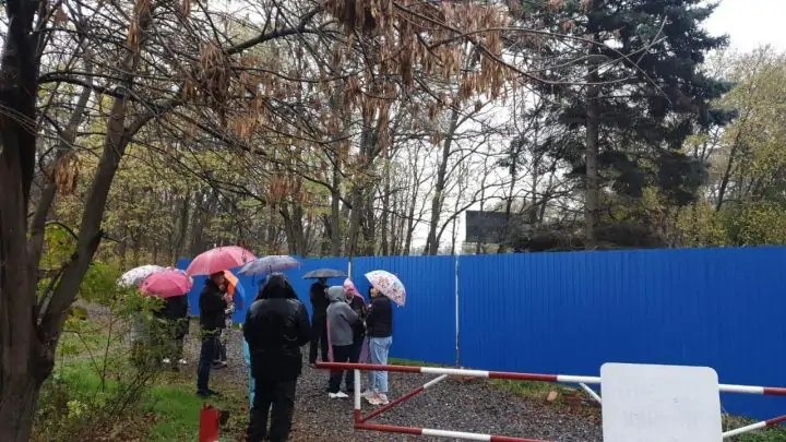 Активисты пытаются помешать сносу деревьев. Фото активистов