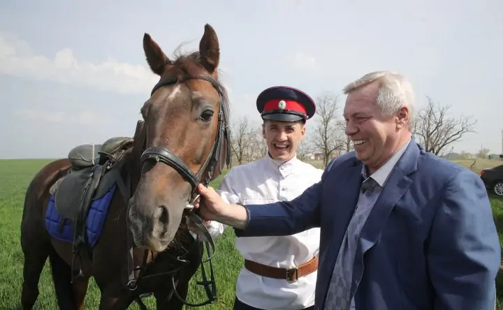 Губернатор Ростовской области Василий Голубев. Фото donland.ru