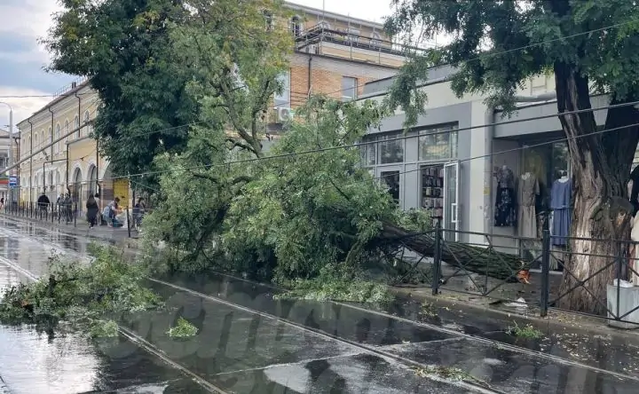 Дерево упало на трамвайные пути в районе Центрального рынка. Фото из соцсетей
