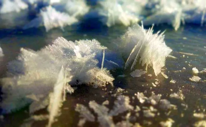 «Ледяные цветы» в хуторе Смеловска. Фото telegram-канала «Тарасовский»