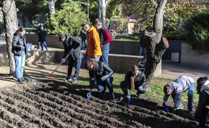 Высадка тюльпанов в сквере Фрунзе. Фото мэрии