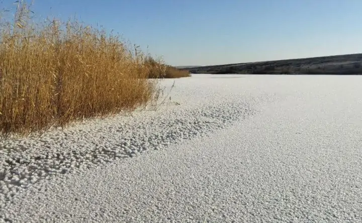 «Ледяные цветы» в хуторе Смеловска. Фото telegram-канала «Тарасовский»