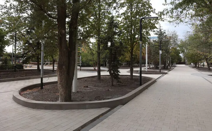 Бульвар вдоль парка «Дружбы» в Волгодонске. Фото donland.ru