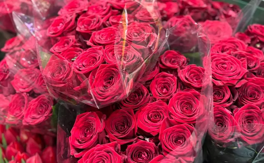 Розы. Фото donnews.ru