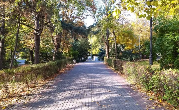 Сквер Фрунзе в Ростове. Фото donnews.ru