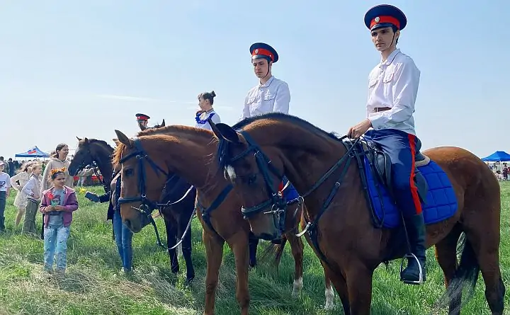 Участники фестиваля. Фото donnews.ru