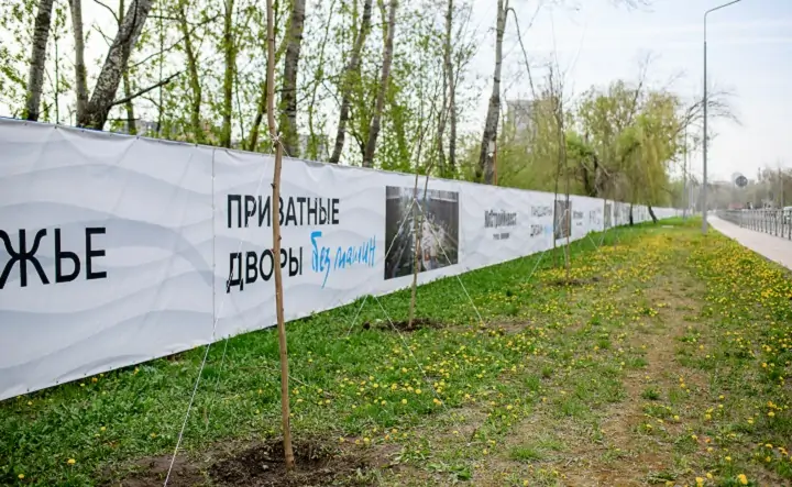 Высаженные деревья. Фото пресс-службы ГК «ЮгСтройИнвест»