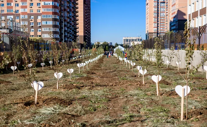 Аллея высаженных деревьев в экорайоне «Вересаево». Фото пресс-службы «ЮгСтройИнвест»