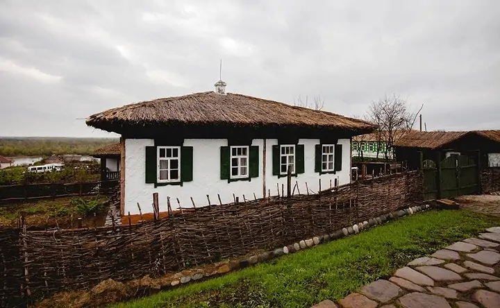 Suniy qinli erkaklar ishtirokidagi porno