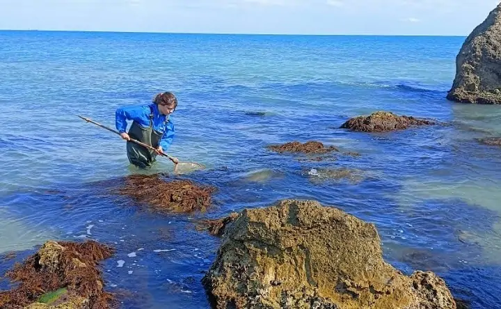 Учёные ловят креветок. Фото azniirkh.vniro.ru.