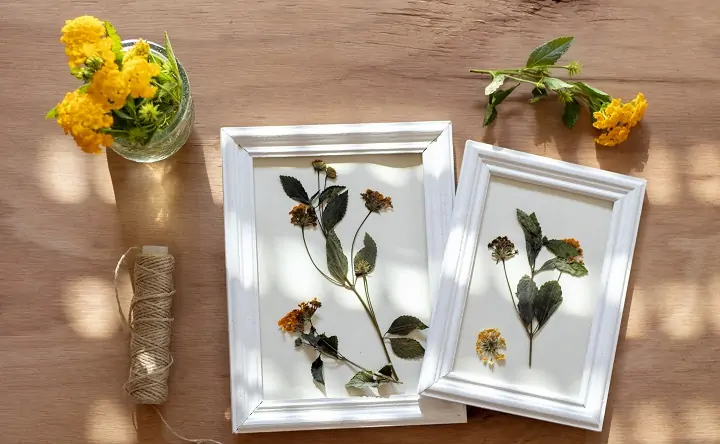 Ребёнок собирает гербарий, ru.freepik.com