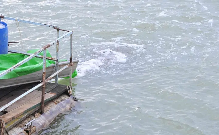 Мальков выпускают в воду. Фото пресс-службы Ростовской АЭС