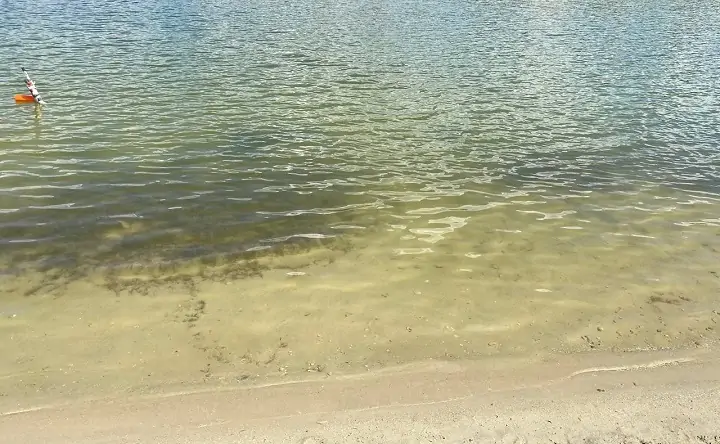 Вода на пляже «Каррера». Фото donnews.ru