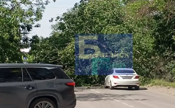 Дерево, перегородившее дорогу. Фото из telegram-канала «Батайск город»