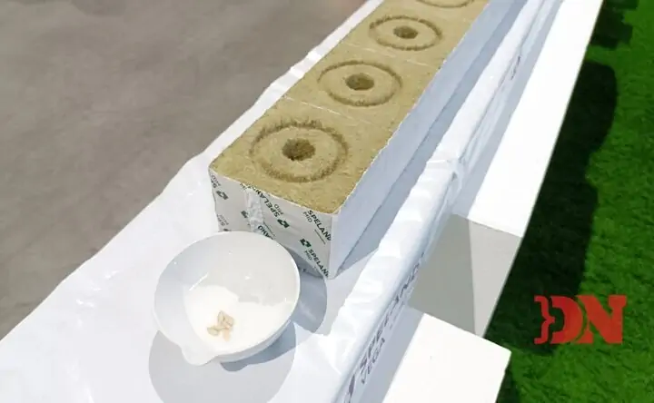 Кубики субстрата минераловатного от компании «Технониколь». Фото donnews.ru