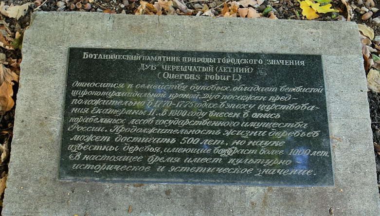 Табличка возле 200-летнего дуба в Таганроге