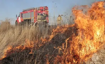 Ландшафтный пожар. Фото пресс-службы ГУ МЧС по Ростовской области