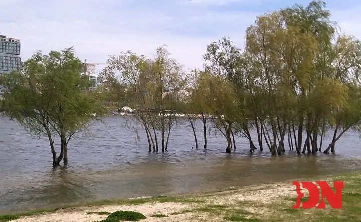 Затопленный пляж на левом берегу Дона в Ростове. Фото donnews.ru